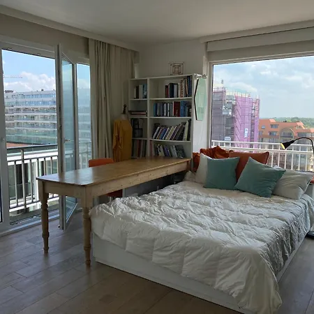 In Nieuwpoort-bad With Sea View Nieuwpoort